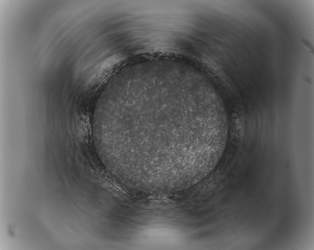 X0000102770918200809081001