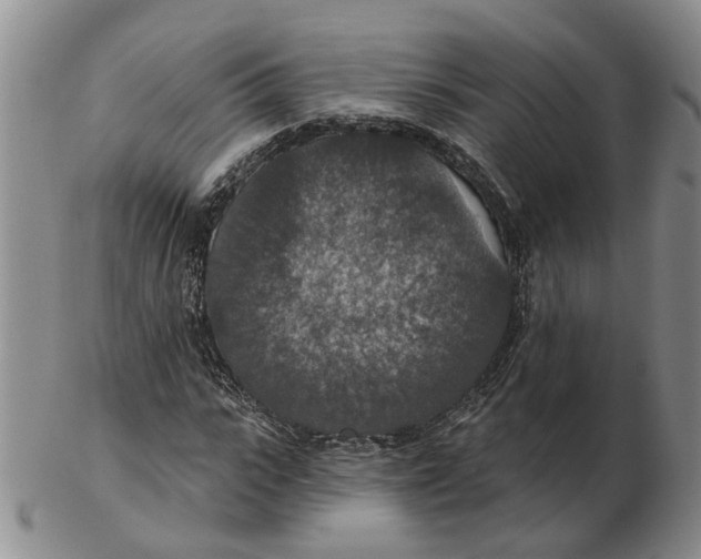 X0000102770919200809081001