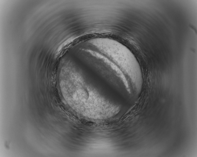 X0000102770920200809081001