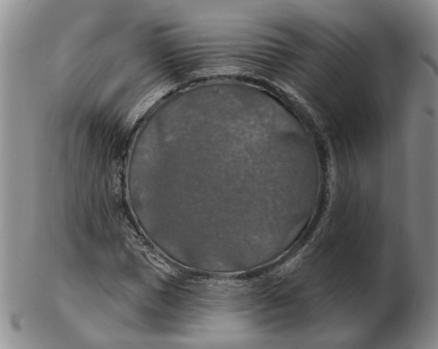 X0000102770921200809081001