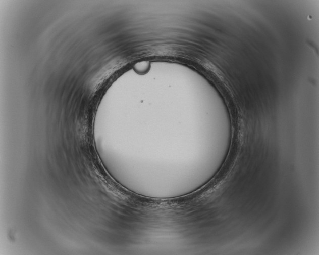 X0000102770922200809081001