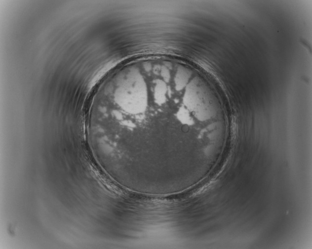 X0000102770925200809081001