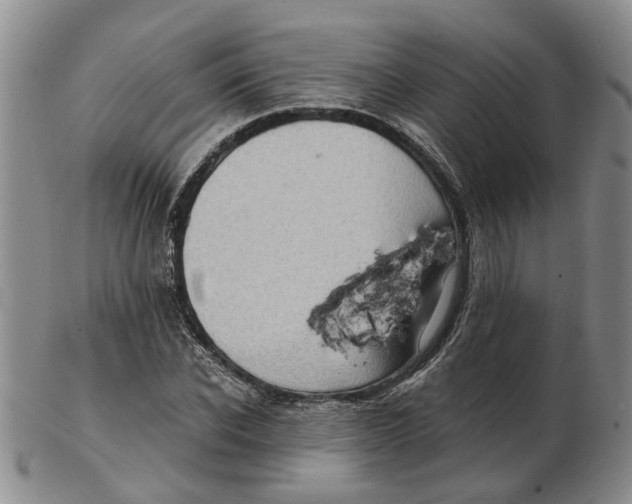 X0000102770926200809081001