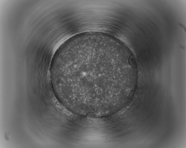 X0000102770928200809081001