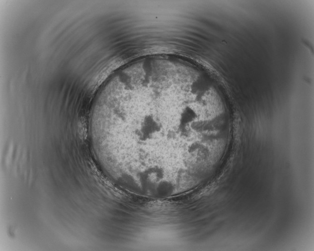 X0000102770929200809081001