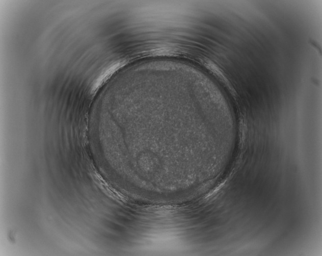 X0000102770930200809081001