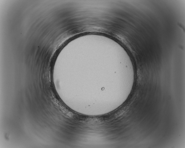 X0000102770931200809081001