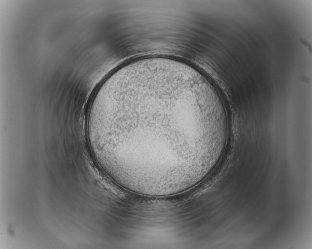 X0000102770933200809081001