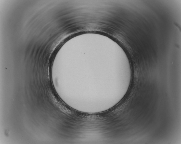 X0000102770934200809081001