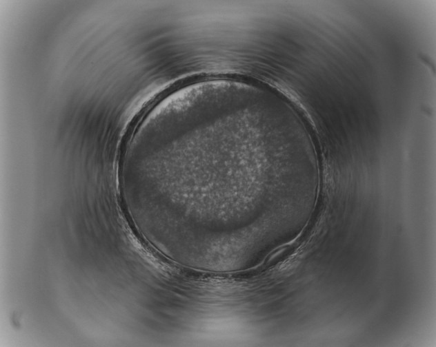 X0000102770935200809081001