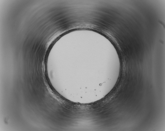 X0000102770936200809081001