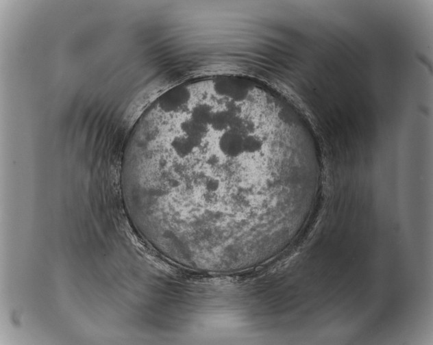 X0000102770937200809081001