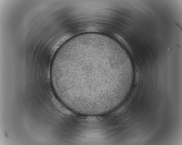 X0000102770938200809081001