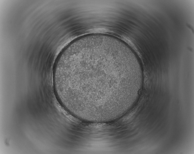 X0000102770939200809081001