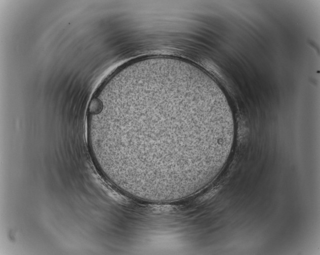 X0000102770940200809081001