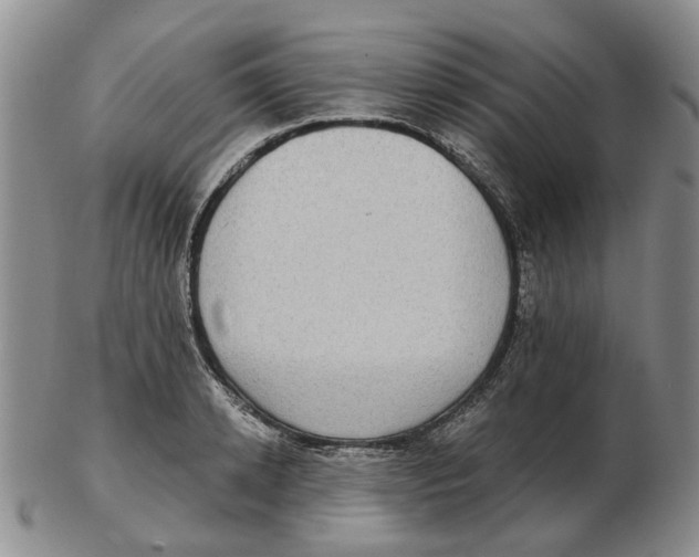 X0000102770942200809081001