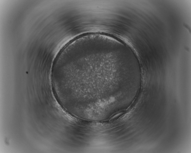 X0000102770943200809081001