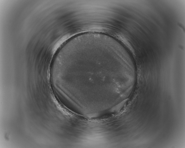 X0000102770944200809081001