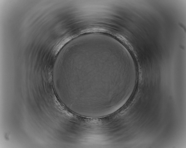 X0000102770945200809081001