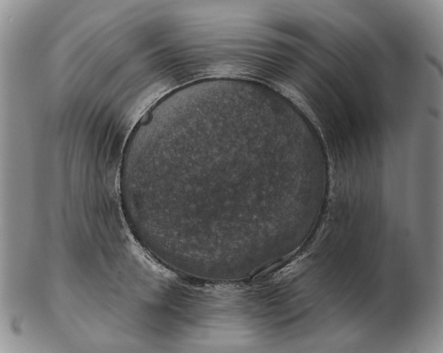 X0000102770946200809081001