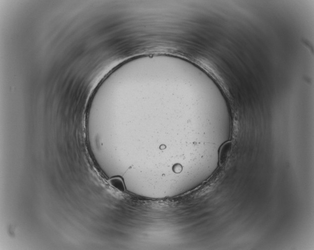 X0000102770948200809081001