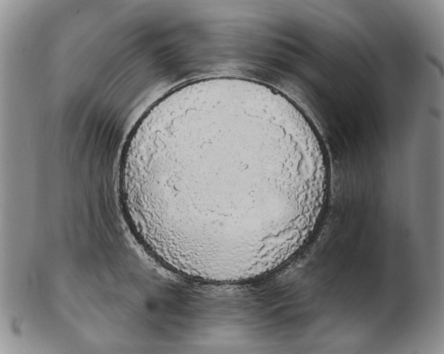 X0000102770949200809081001