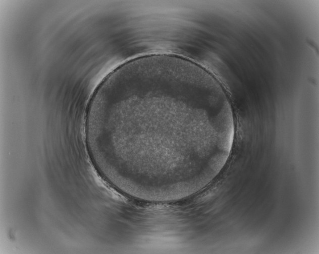 X0000102770950200809081001