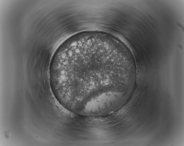 X0000102770951200809081001