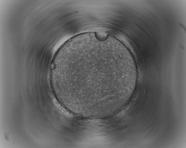 X0000102770952200809081001