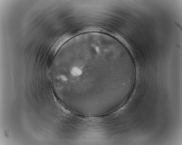 X0000102770953200809081002