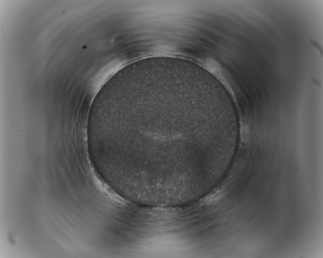 X0000102770954200809081002