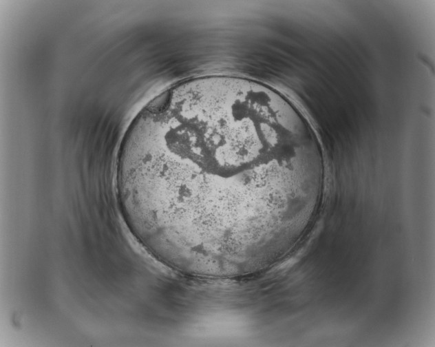 X0000102770957200809081002