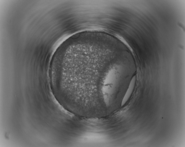 X0000102770959200809081002