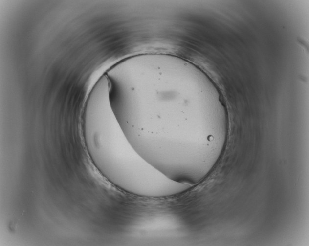 X0000102770960200809081002