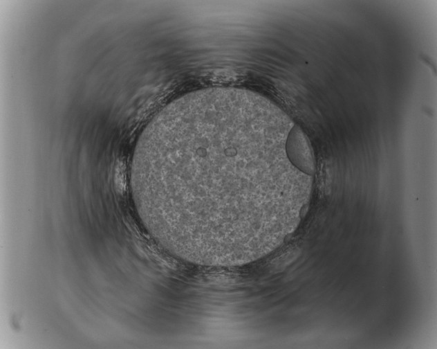 X0000102770962200809081001