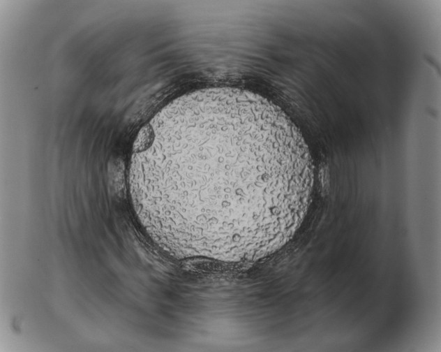 X0000102770963200809081001