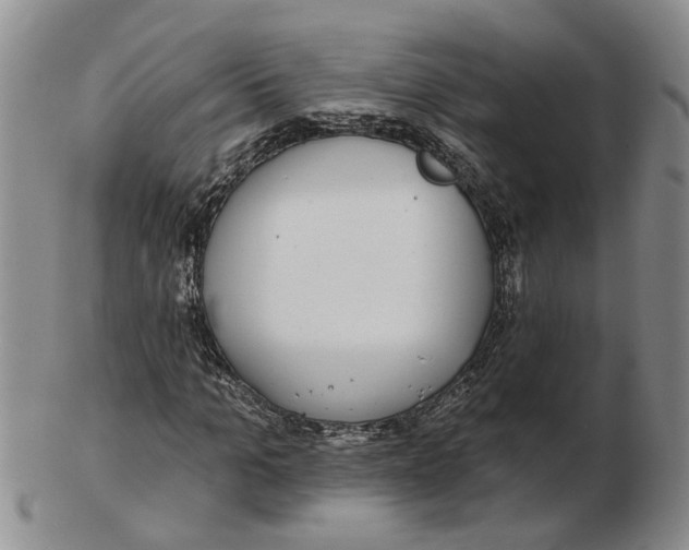 X0000102770965200809081001