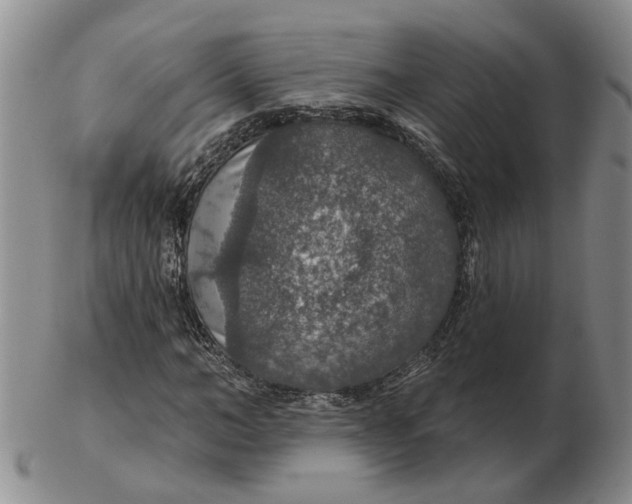 X0000102770966200809081001