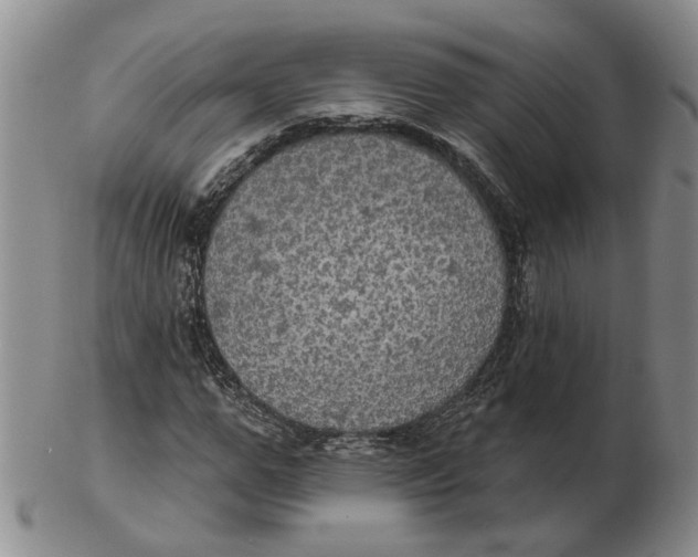 X0000102770967200809081001