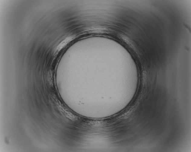 X0000102770970200809081001