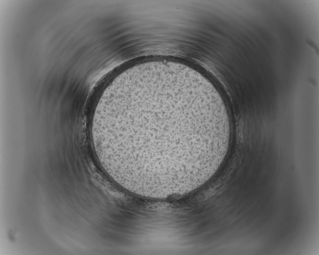 X0000102770971200809081001