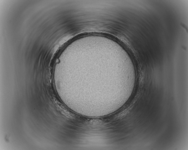 X0000102770974200809081001