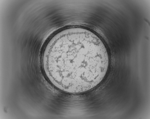 X0000102770976200809081001