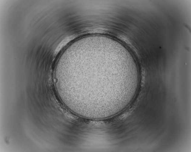 X0000102770978200809081001