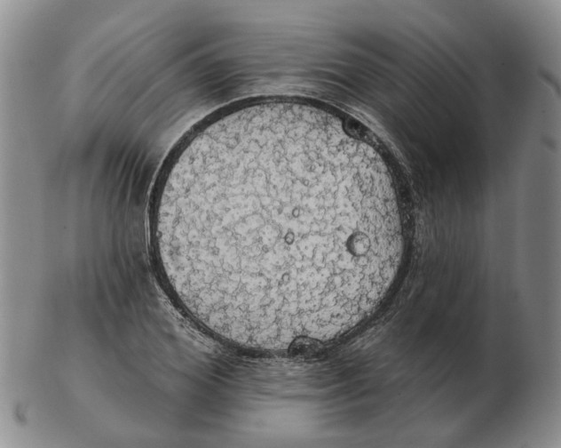 X0000102770980200809081001