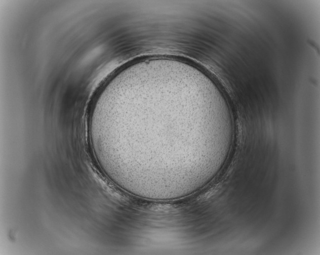 X0000102770982200809081001