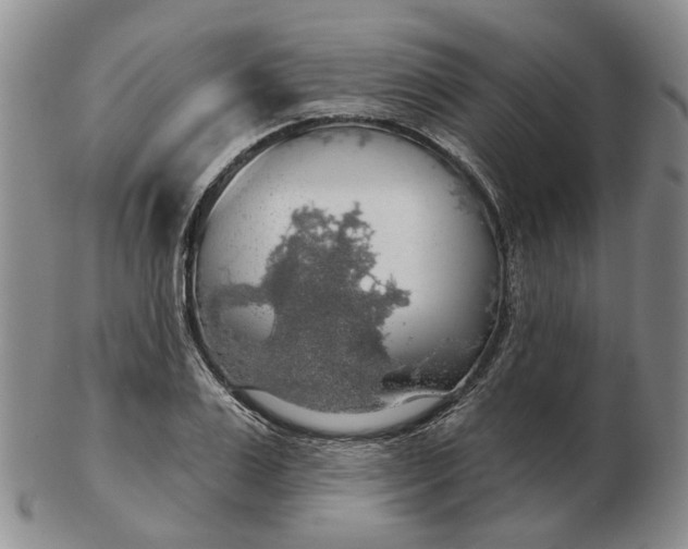 X0000102770983200809081001