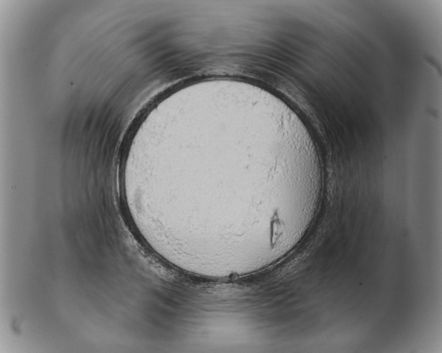 X0000102770984200809081001