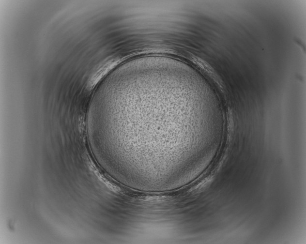 X0000102770985200809081001