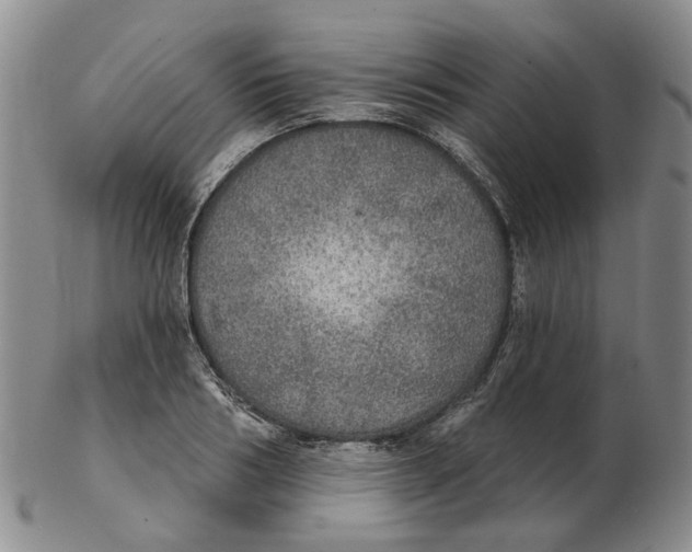 X0000102770986200809081001